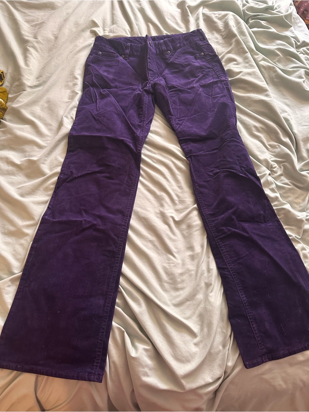 J. Crew Deep Purple Corduroy Bootcut Pants